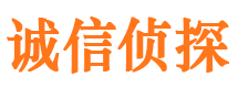 新龙私家侦探公司